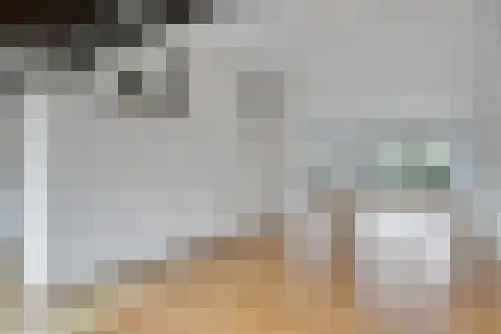 Waterlelie 22 Gouda thumbnail 9