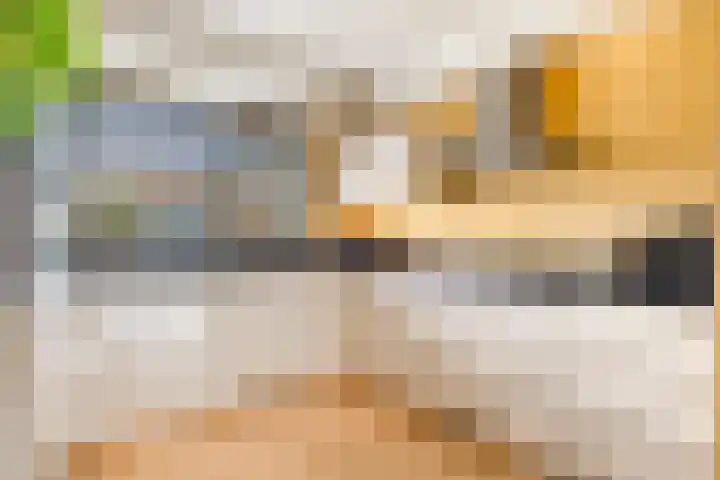 Waterlelie 22 Velserbroek thumbnail 20