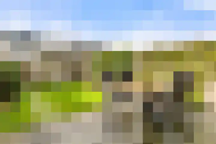 Waterlelie 22 Velserbroek thumbnail 25