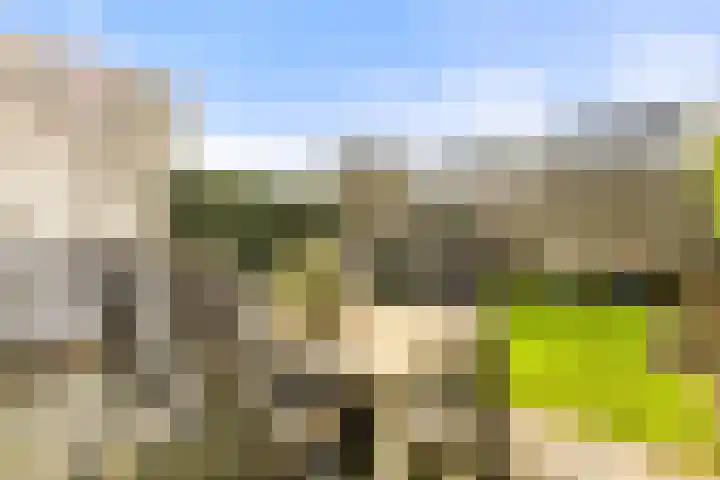 Waterlelie 22 Velserbroek thumbnail 26