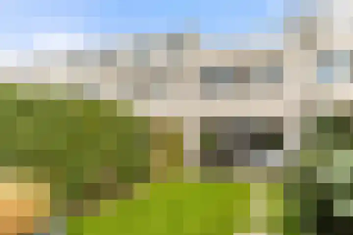 Waterlelie 22 Velserbroek thumbnail 28