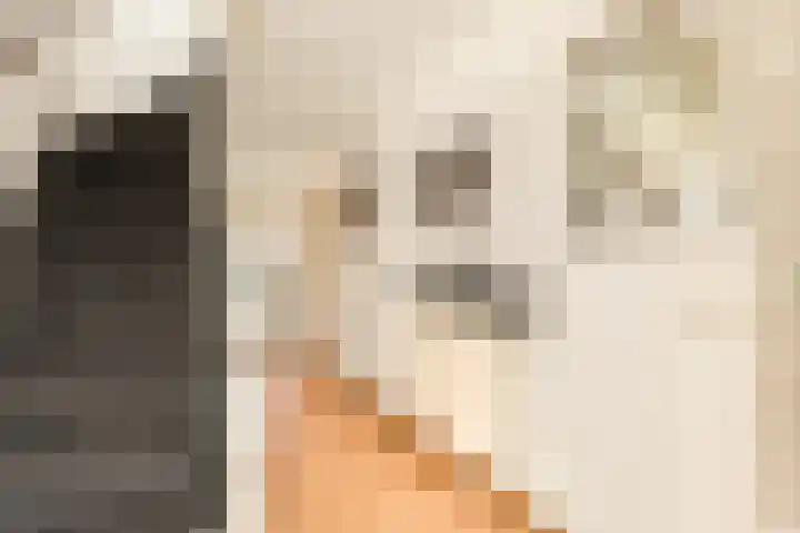 Waterlelie 22 Velserbroek thumbnail 30