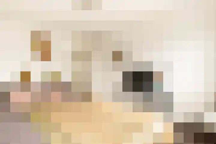 Waterlelie 22 Velserbroek thumbnail 34