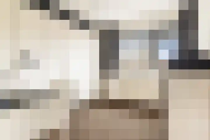 Waterlelie 22 Velserbroek thumbnail 39