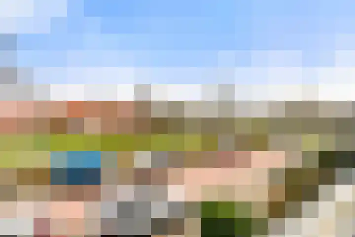 Waterlelie 22 Velserbroek thumbnail 40