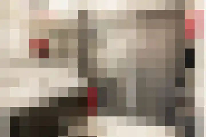 Waterlelie 22 Velserbroek thumbnail 42