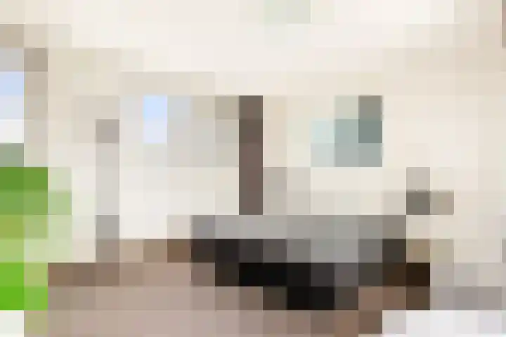 Waterlelie 22 Velserbroek thumbnail 46
