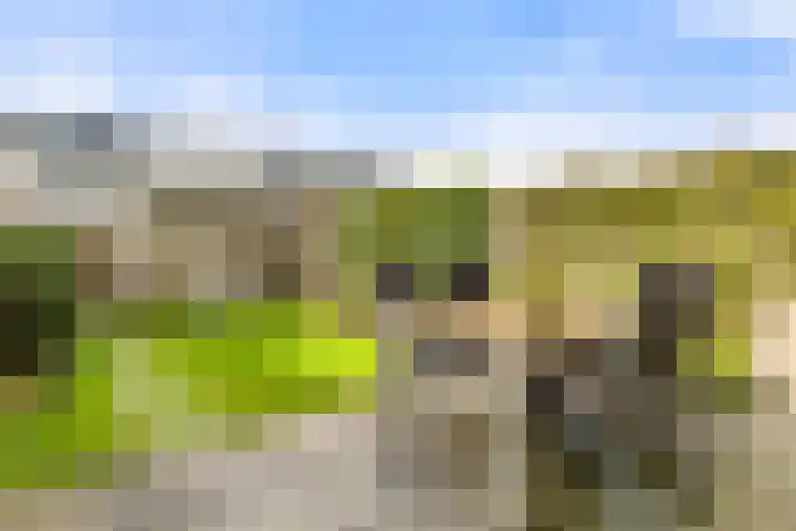 Waterlelie 22 Velserbroek thumbnail 5