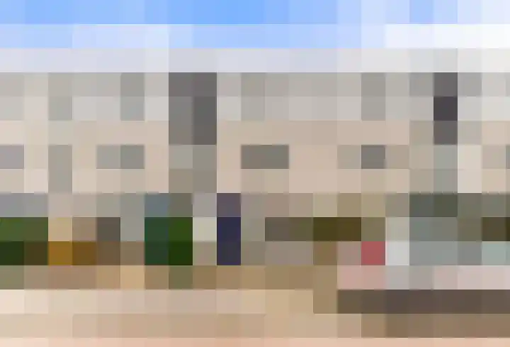 Waterlelie 22 Velserbroek thumbnail 6