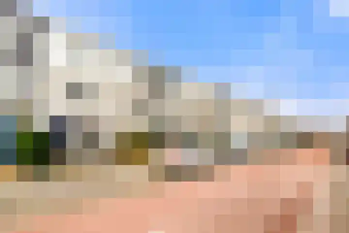 Waterlelie 22 Velserbroek thumbnail 7