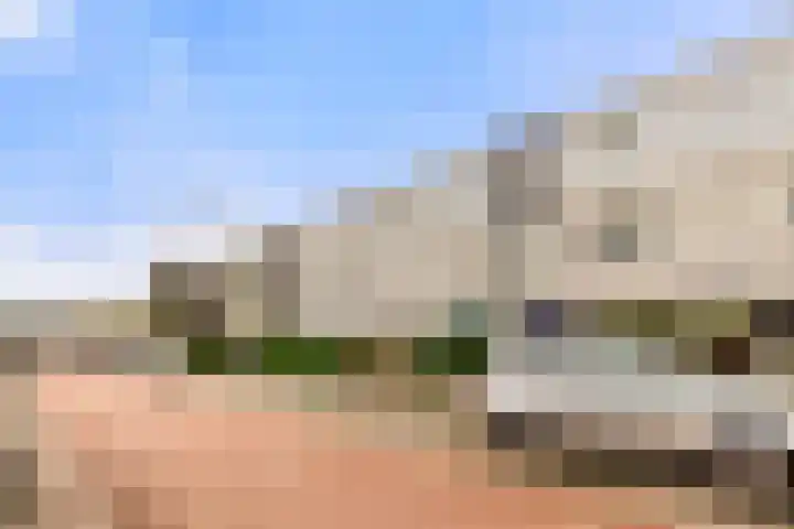 Waterlelie 22 Velserbroek thumbnail 8