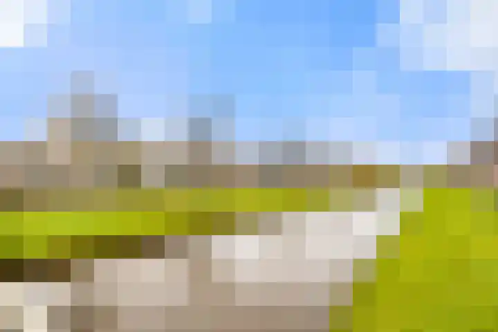 Waterlelie 22 Velserbroek thumbnail 9