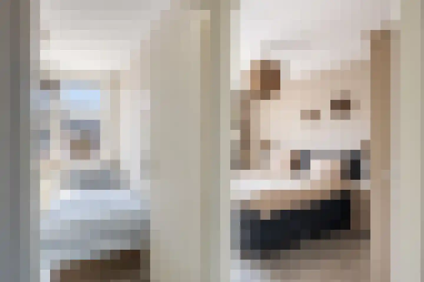 Waterlelie 23 Alblasserdam thumbnail 20