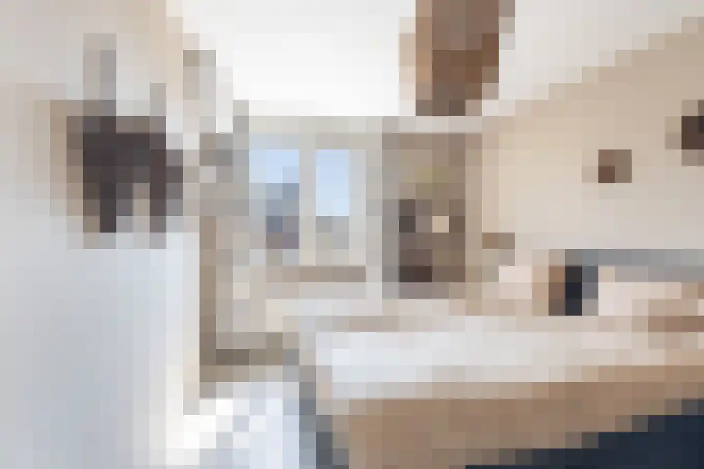 Waterlelie 23 Alblasserdam thumbnail 21