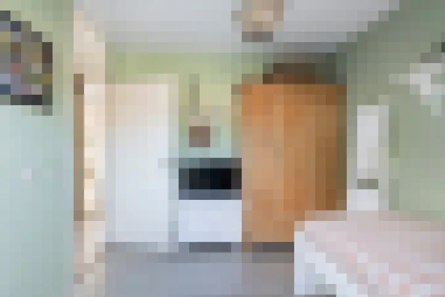 Waterlelie 23 Alblasserdam thumbnail 27