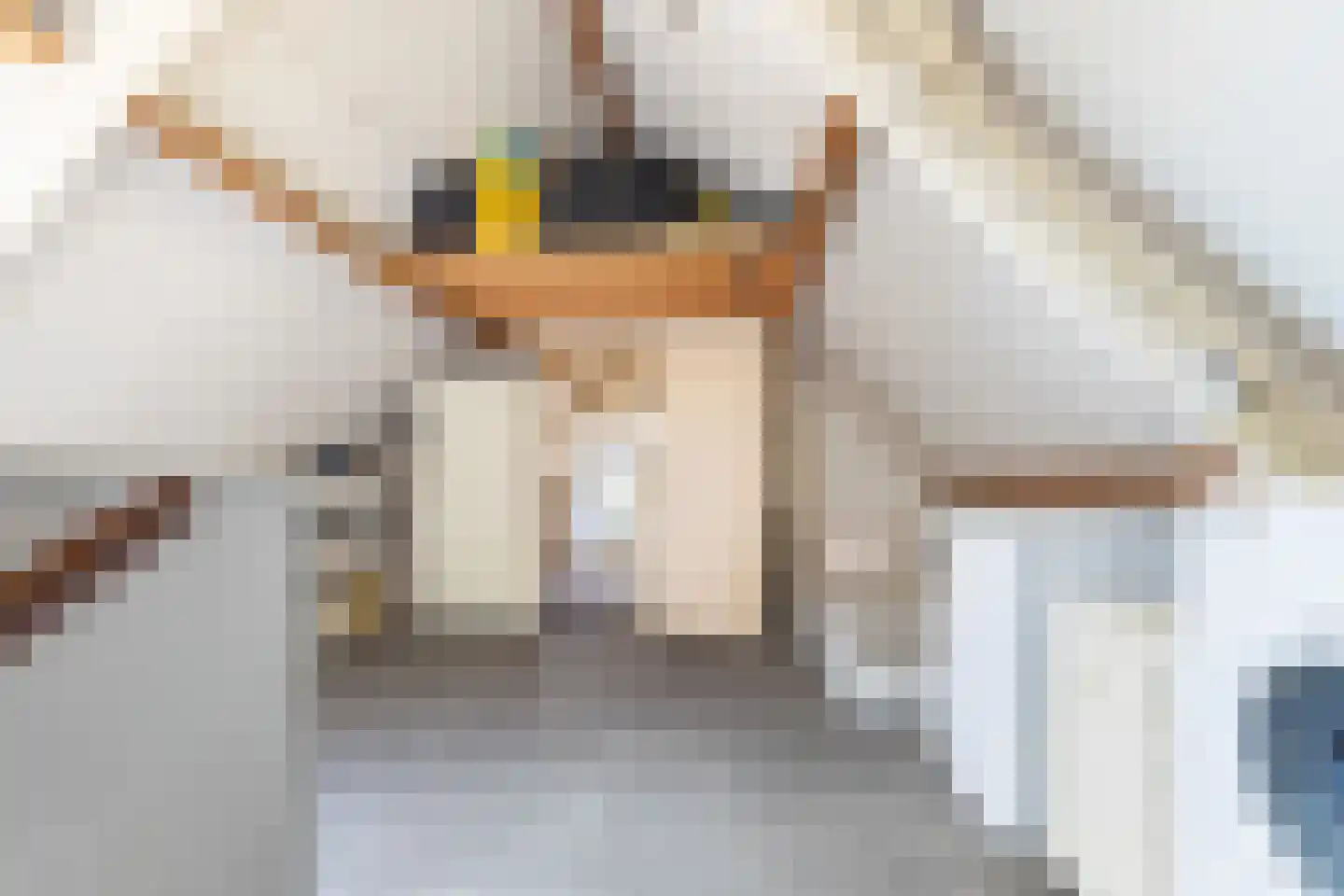 Waterlelie 23 Alblasserdam thumbnail 34