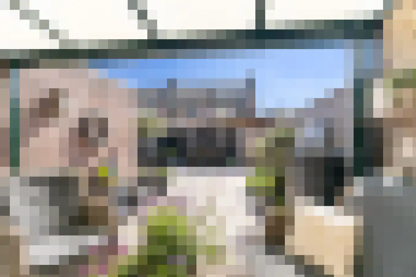 Waterlelie 23 Alblasserdam thumbnail 36