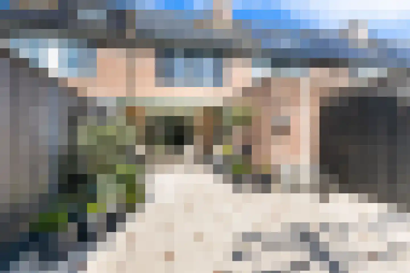Waterlelie 23 Alblasserdam thumbnail 40