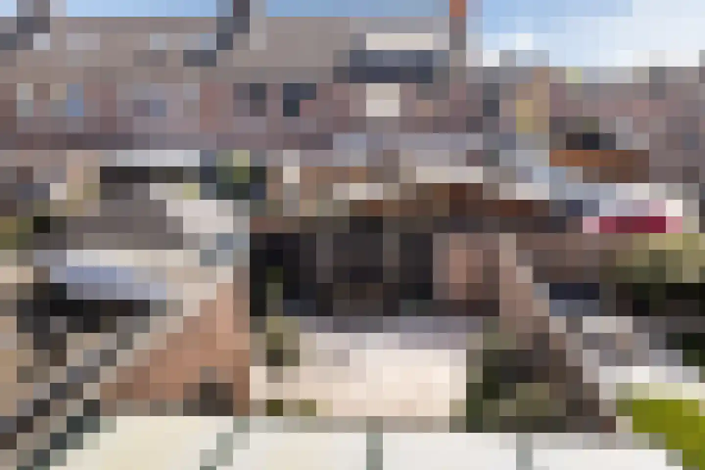 Waterlelie 23 Alblasserdam thumbnail 42