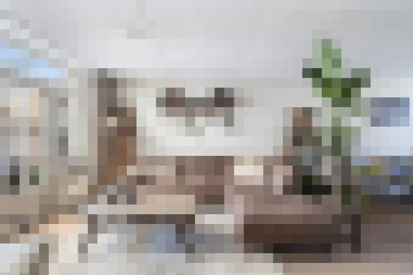 Waterlelie 23 Alblasserdam thumbnail 6