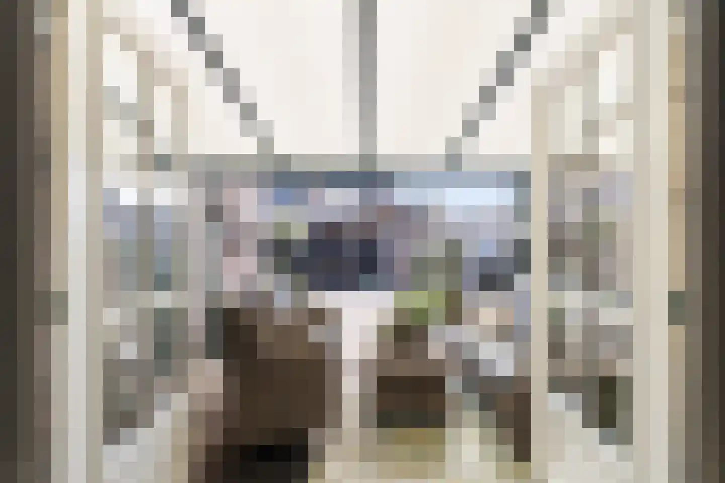 Waterlelie 23 Alblasserdam thumbnail 9