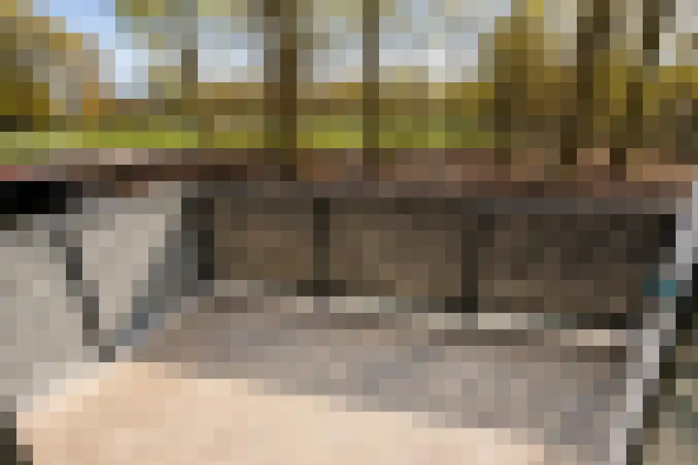 Waterlelie 23 Winkel thumbnail 25