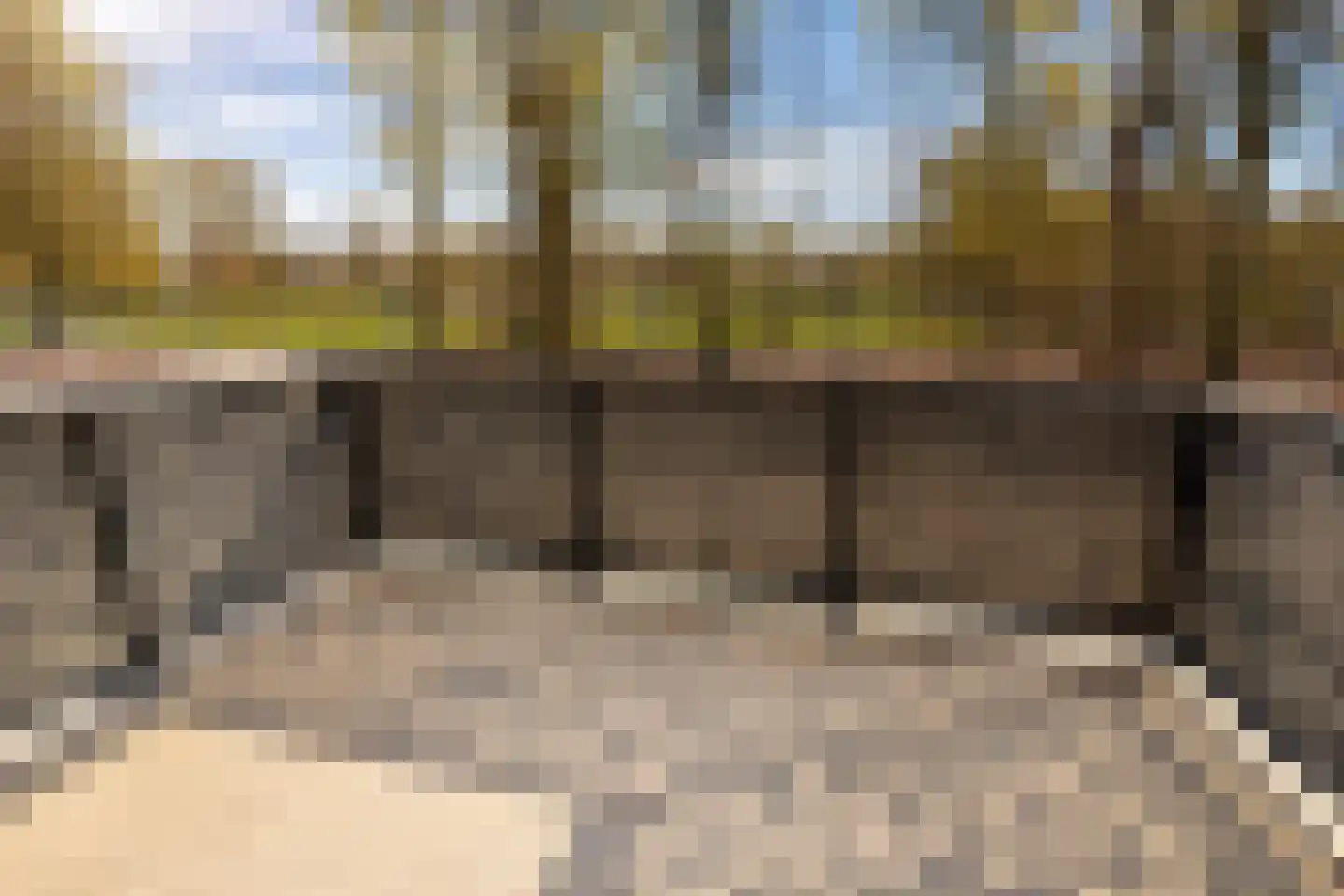 Waterlelie 23 Winkel thumbnail 6