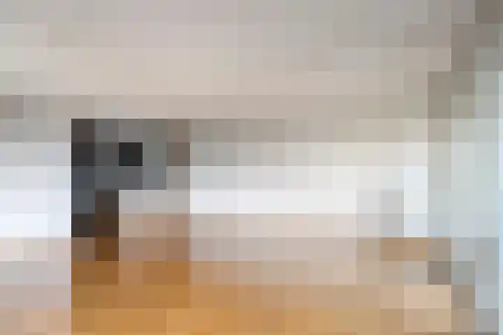 Waterlelie 23 Zwolle thumbnail 10