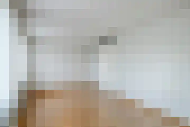 Waterlelie 23 Zwolle thumbnail 16