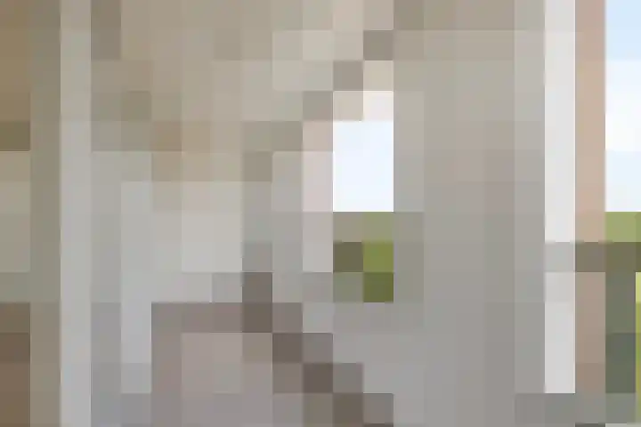 Waterlelie 23 Zwolle thumbnail 26