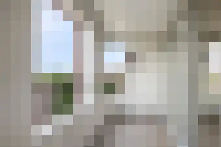Waterlelie 23 Zwolle thumbnail 29