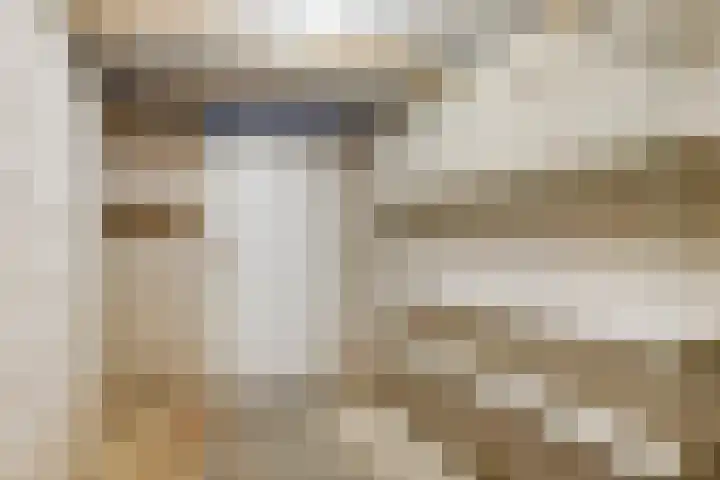 Waterlelie 23 Zwolle thumbnail 31