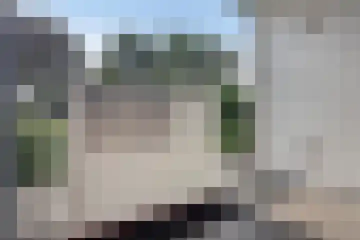 Waterlelie 23 Zwolle thumbnail 34