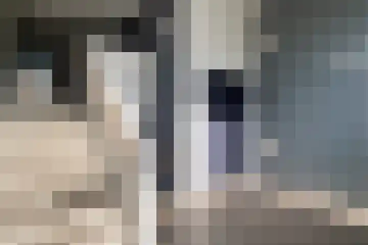 Waterlelie 23 Zwolle thumbnail 35
