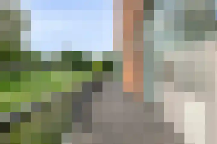 Waterlelie 23 Zwolle thumbnail 36