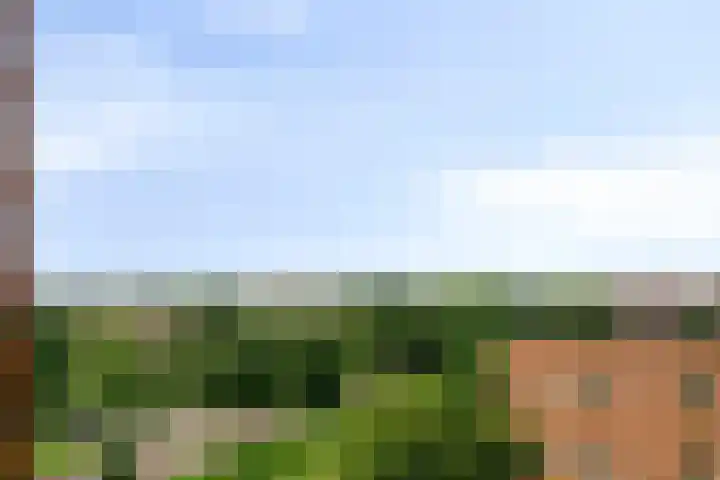 Waterlelie 23 Zwolle thumbnail 38