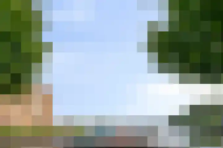 Waterlelie 23 Zwolle thumbnail 41