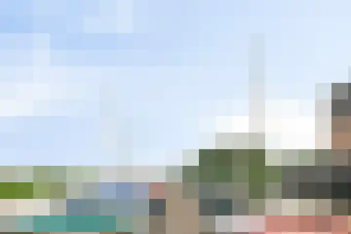 Waterlelie 23 Zwolle thumbnail 42