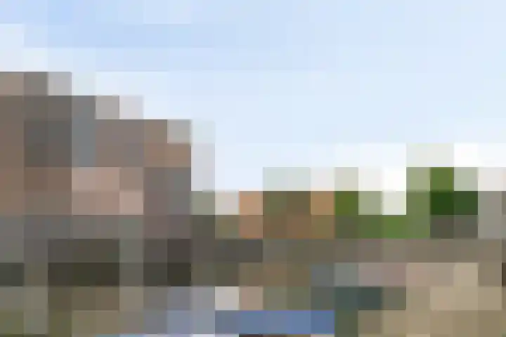 Waterlelie 23 Zwolle thumbnail 43
