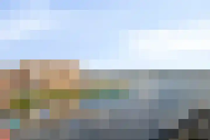 Waterlelie 23 Zwolle thumbnail 44