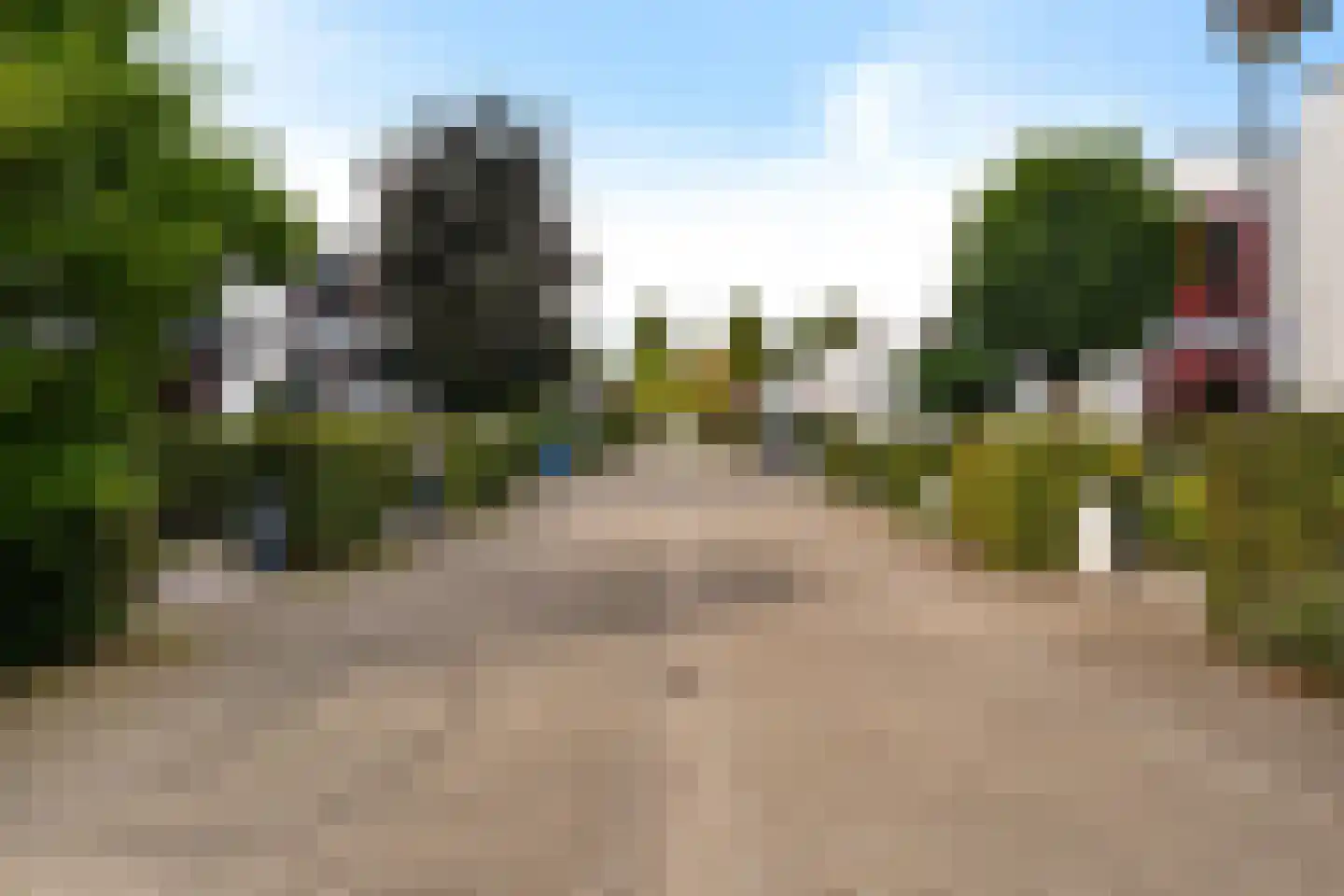 Waterlelie 24 Amersfoort thumbnail 31