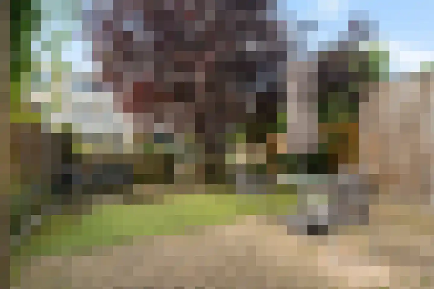 Waterlelie 24 Amersfoort thumbnail 32