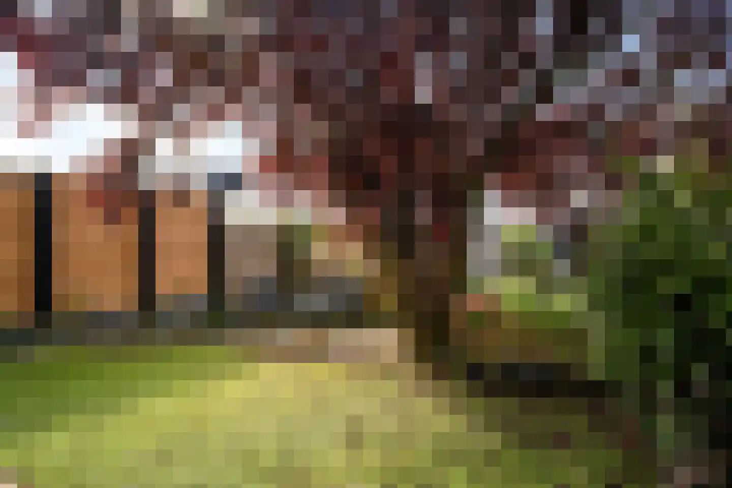 Waterlelie 24 Amersfoort thumbnail 33