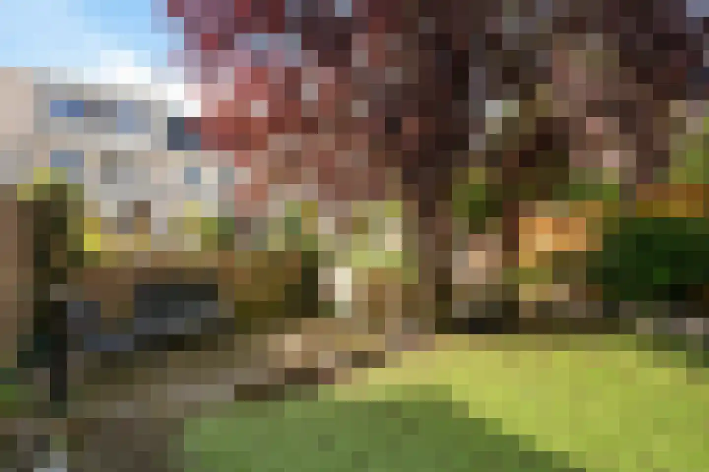 Waterlelie 24 Amersfoort thumbnail 34