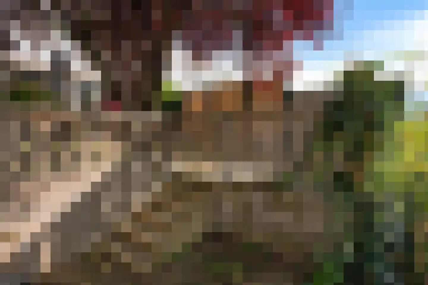 Waterlelie 24 Amersfoort thumbnail 36