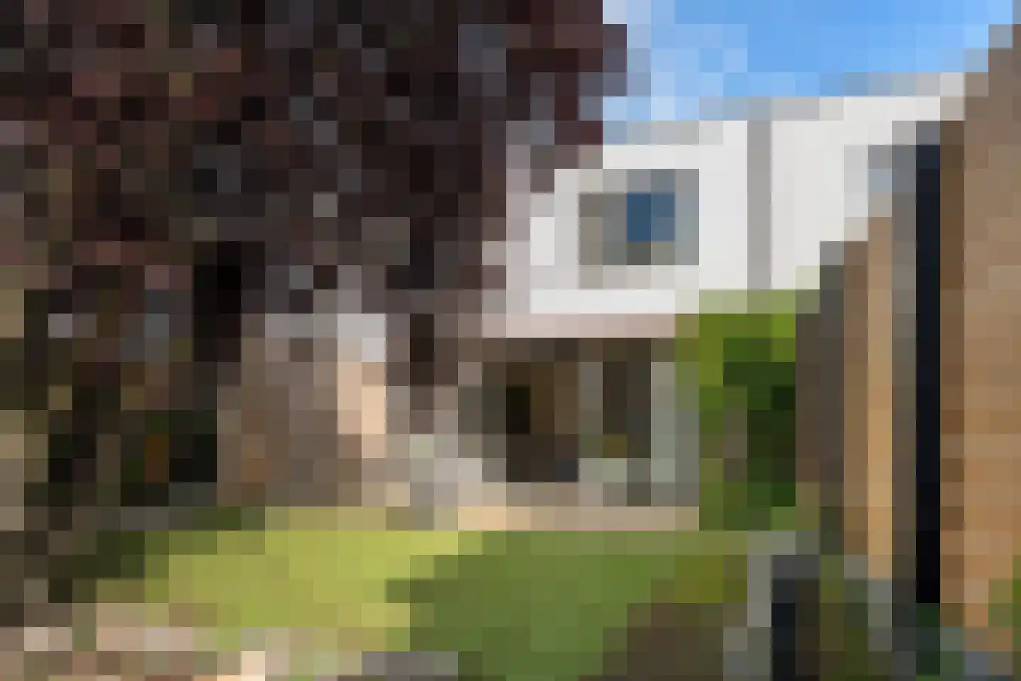 Waterlelie 24 Amersfoort thumbnail 38