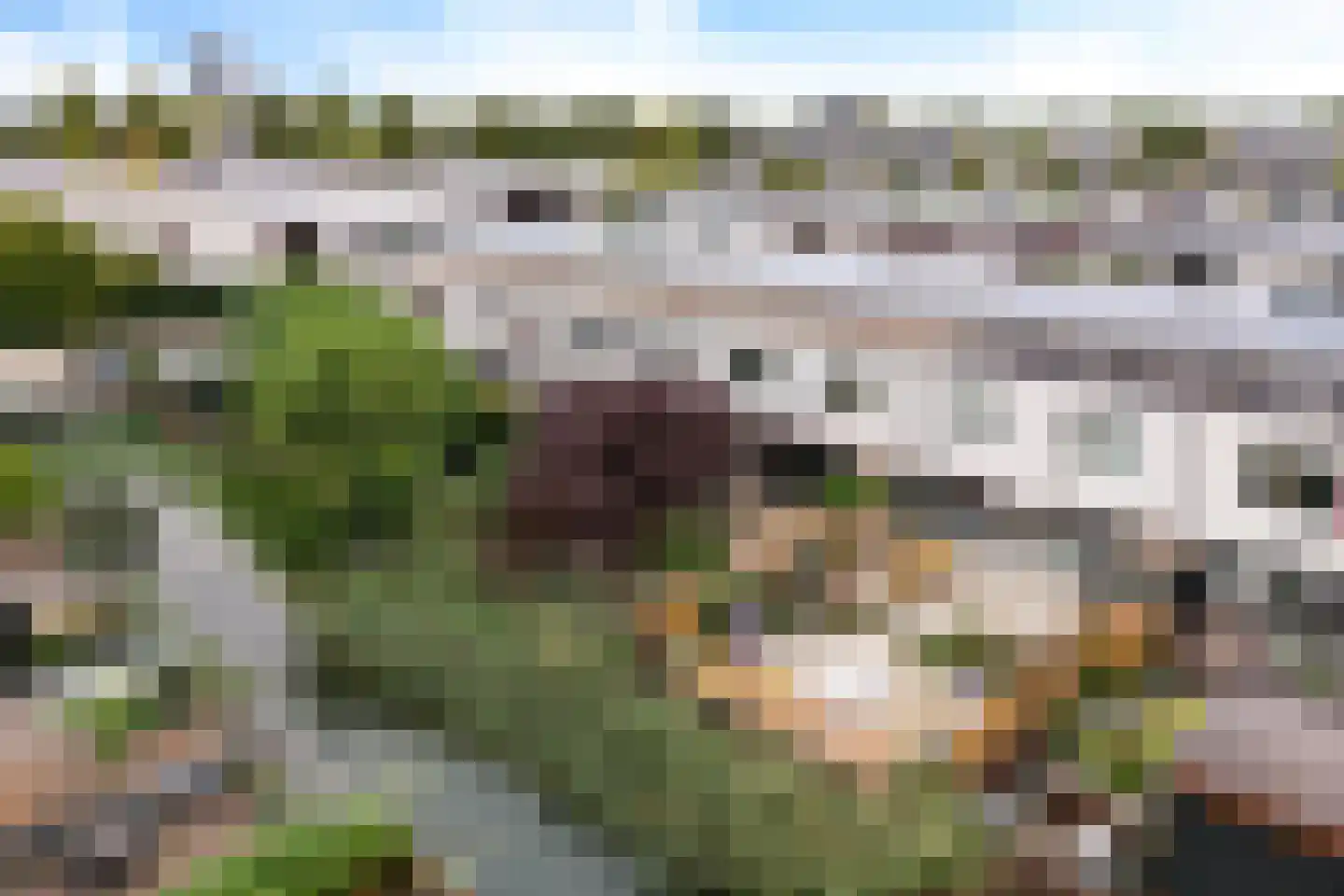 Waterlelie 24 Amersfoort thumbnail 40