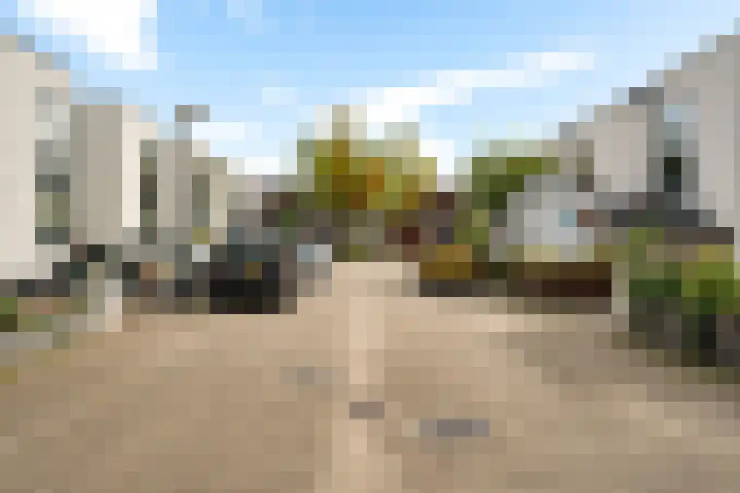 Waterlelie 24 Amersfoort thumbnail 41