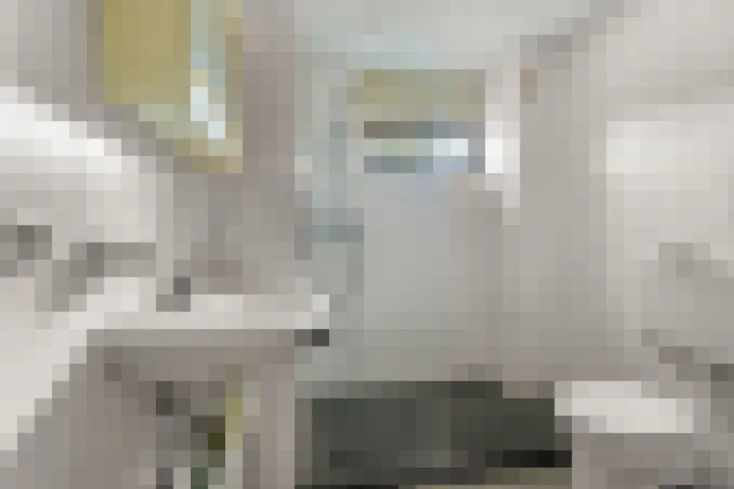 Waterlelie 27 Abcoude thumbnail 20