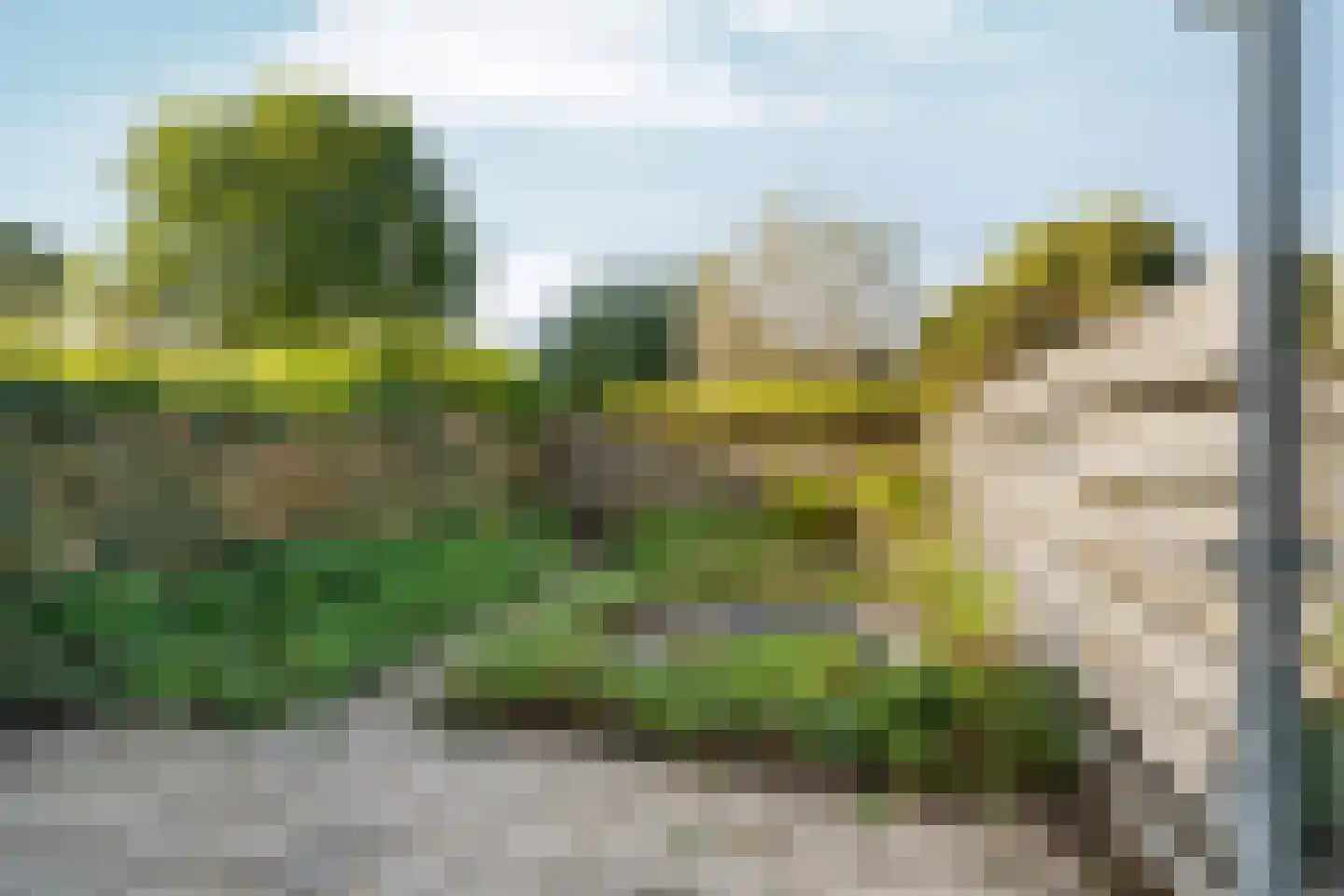 Waterlelie 27 Abcoude thumbnail 30